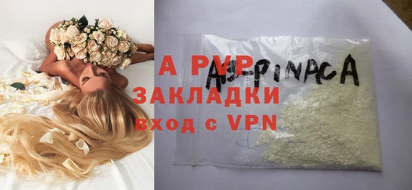 apvp Инсар