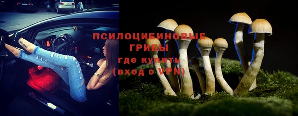 ешки Абинск