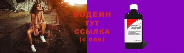 молекула духа Козельск